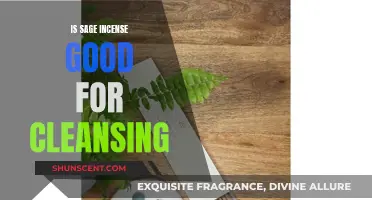 Sage Incense: Cleansing Power and Benefits