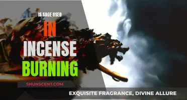 Sage Incense Burning: Ancient Practice, Modern Benefits