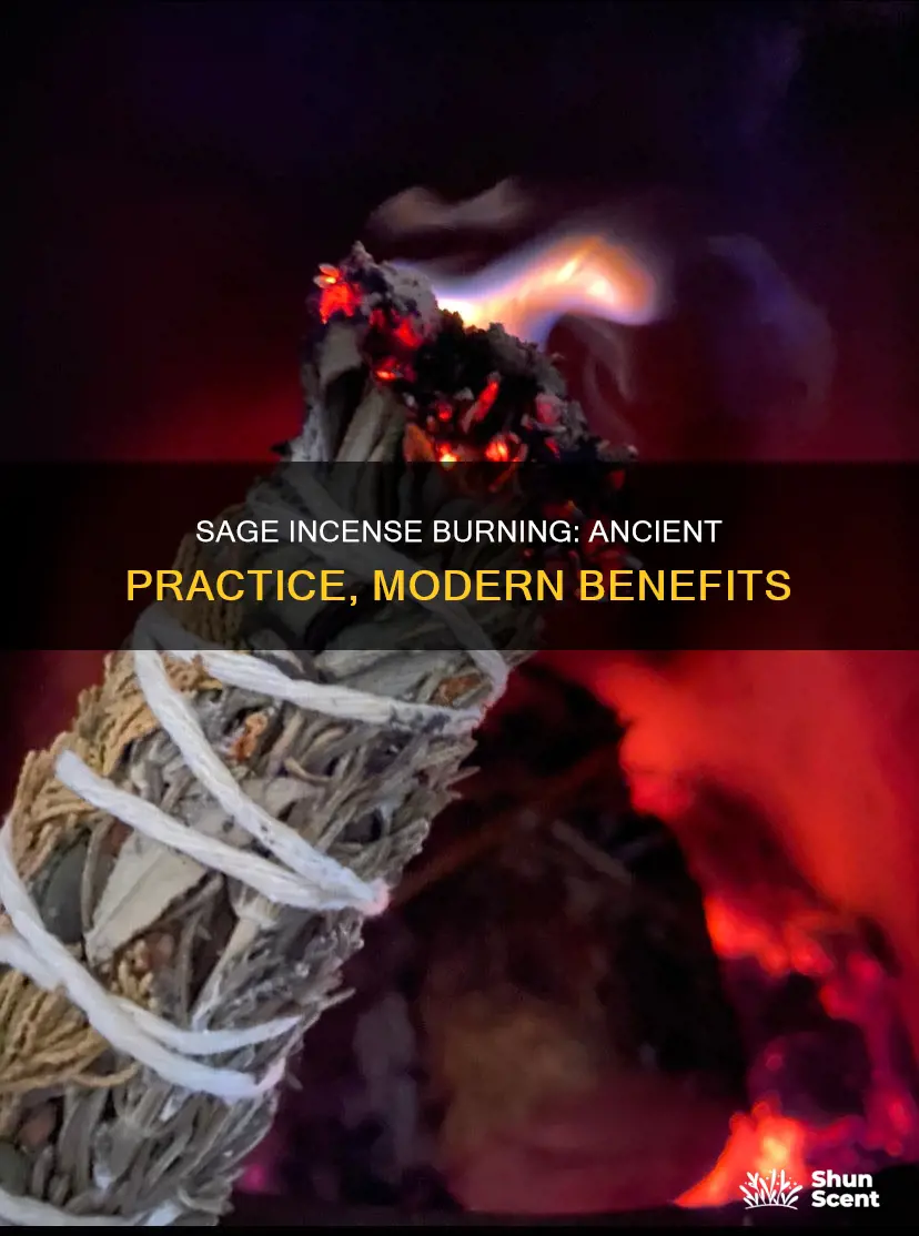 is sage used in incense burning