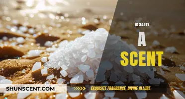 Exploring the Intriguing Question: Is Salty a Scent?
