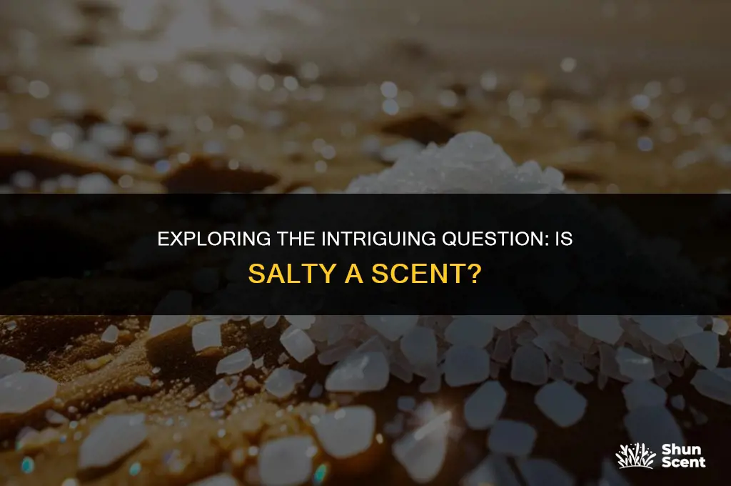is salty a scent
