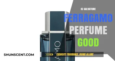 Is Salvatore Ferragamo Perfume Worth the Hype? A Detailed Review