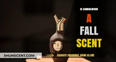Embracing Autumn: Is Sandalwood Truly a Fall Scent?