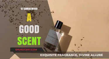 Is Sandalwood a Good Scent? Exploring Its Allure and Appeal
