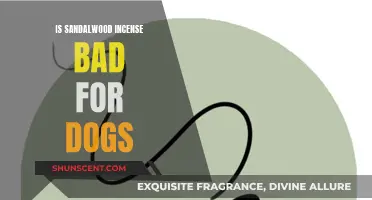 Incense and Canines: Is Sandalwood Smoke Harmful?