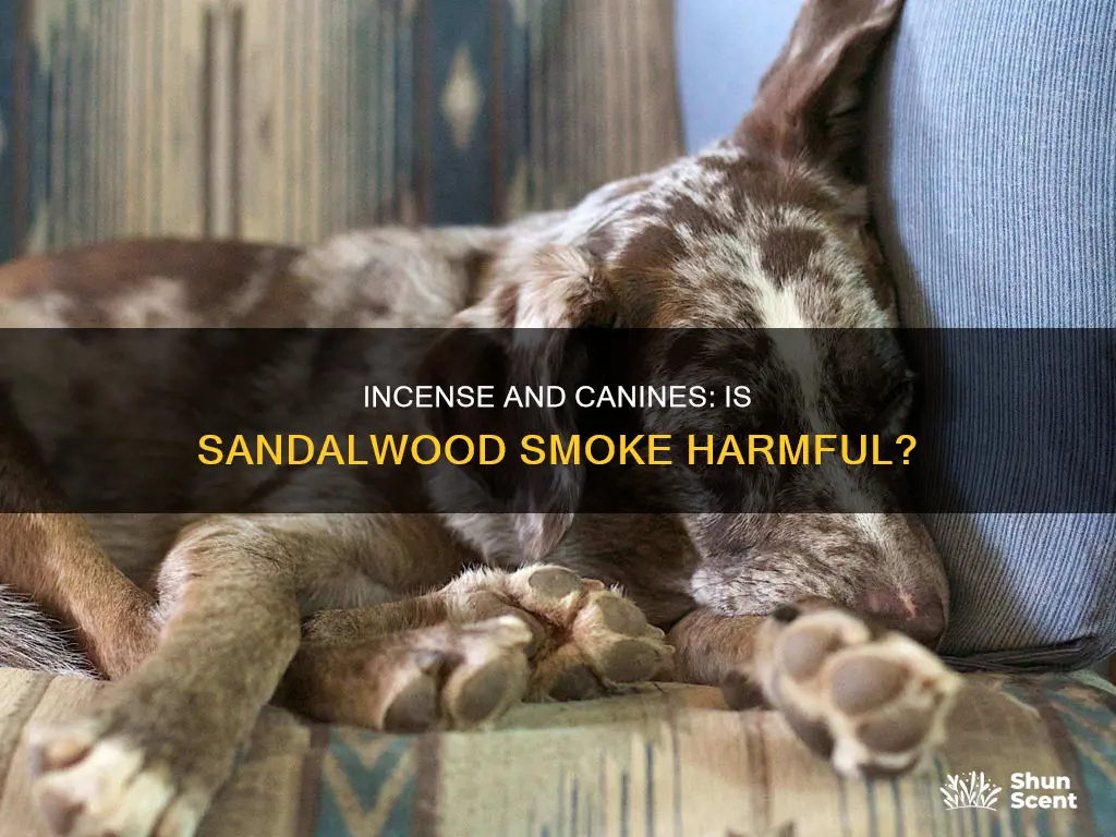 is sandalwood incense bad for dogs