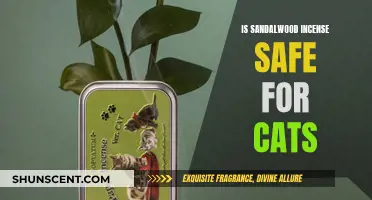 Incense and Cats: Is Sandalwood Safe?