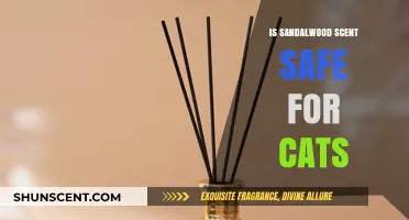 Exploring the Safety of Sandalwood Scent for Feline Friends