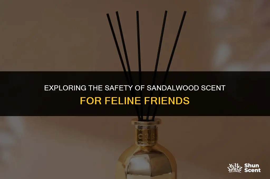 is sandalwood scent safe for cats