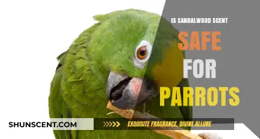 Exploring the Safety of Sandalwood Scent for Parrots