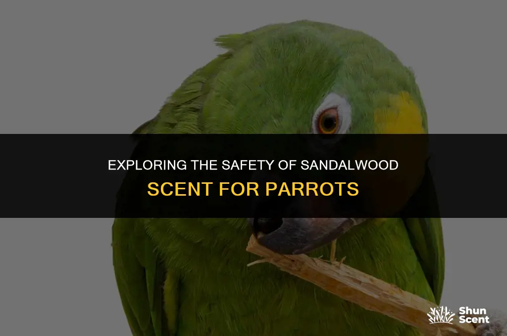 is sandalwood scent safe for parrots