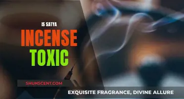 Satya Incense: Toxic or Safe?