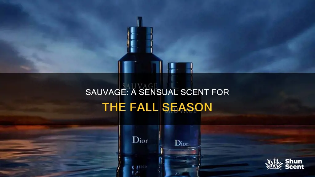 is sauvage a fall cologne