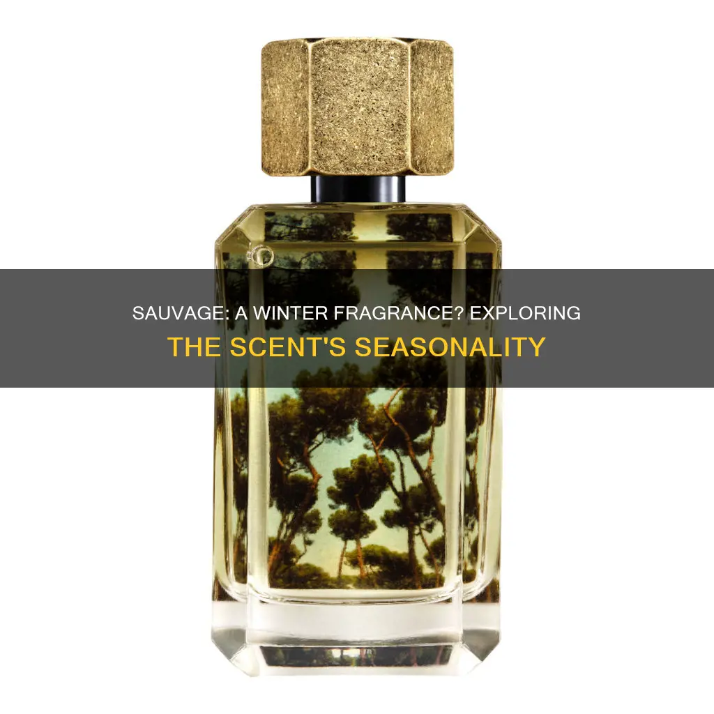 is sauvage a winter fragrance