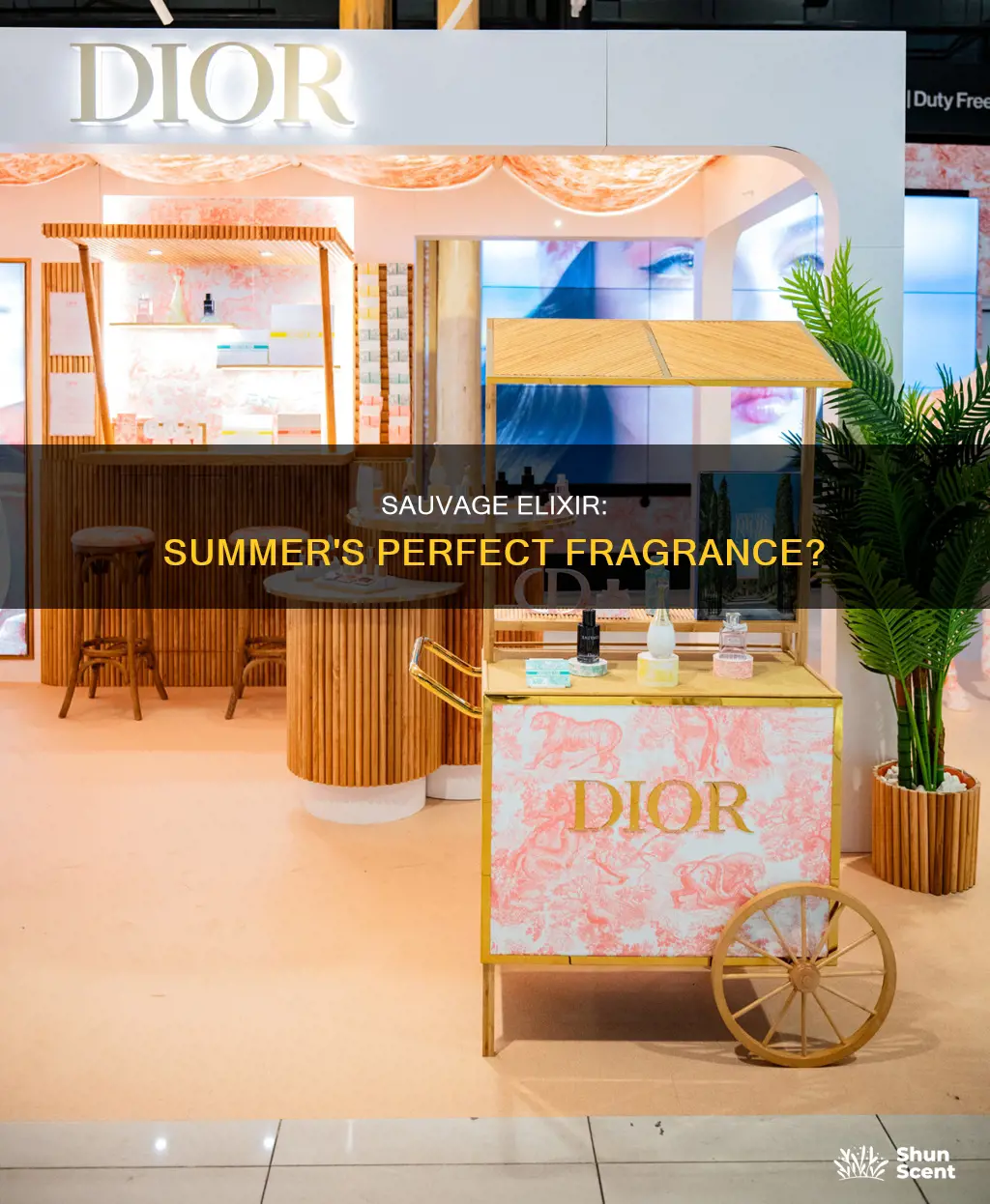 is sauvage elixir a summer fragrance