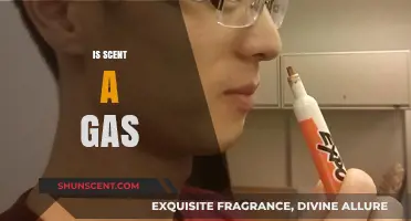 Unveiling the Mystery: Is Scent a Gas or Not?