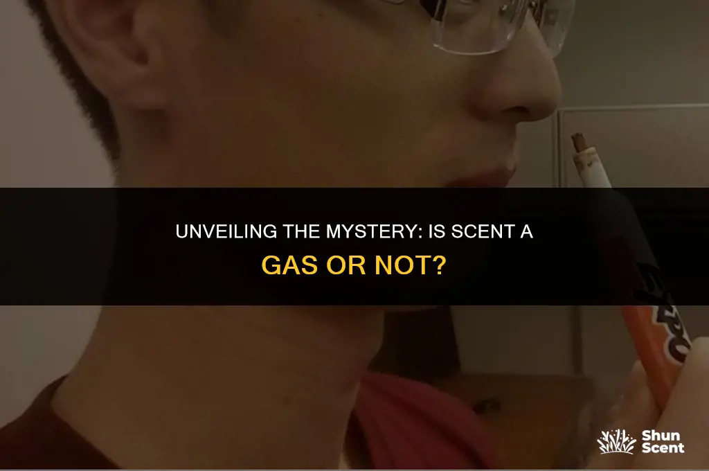 is scent a gas