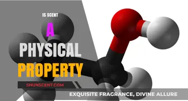Exploring the Essence: Is Scent a Physical Property?