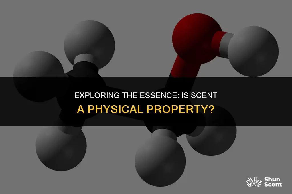 is scent a physical property