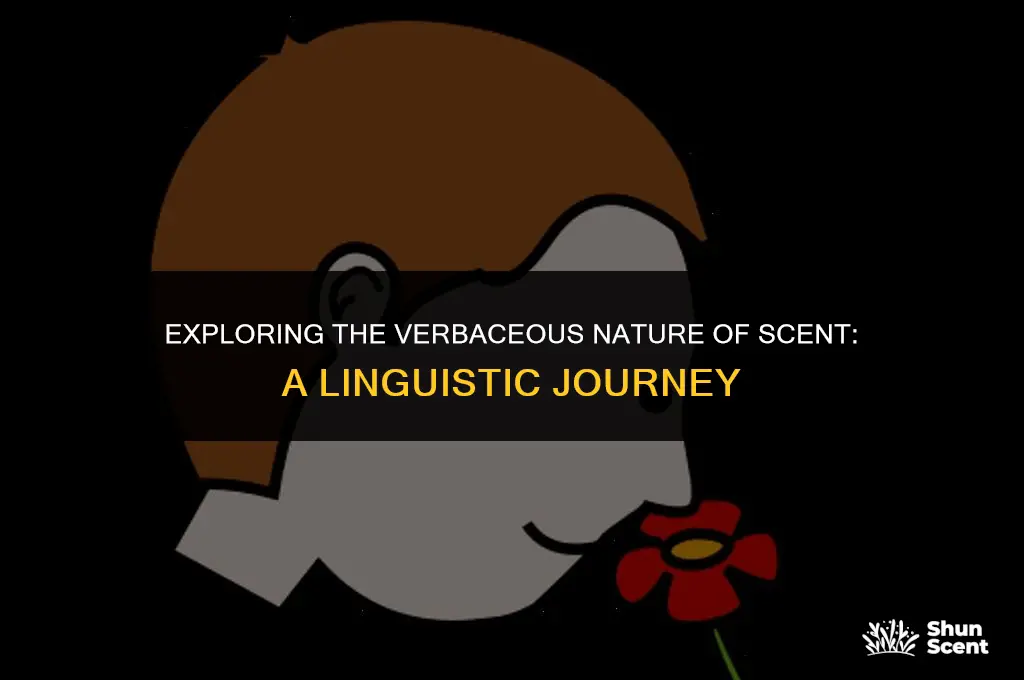 is scent a verb