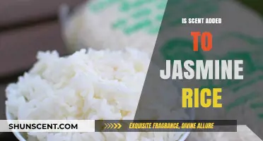 The Fragrant Truth: Is Scent Added to Jasmine Rice?