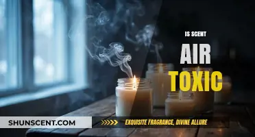 Unveiling the Truth: Is Scented Air Toxic to Our Health?
