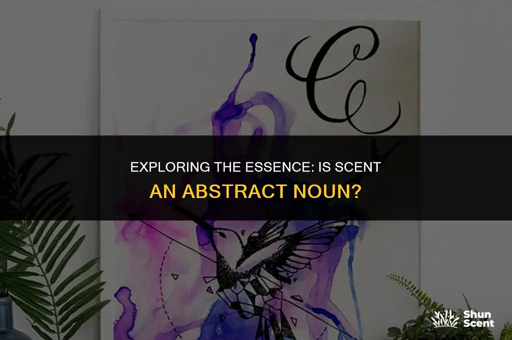 is scent an abstract noun