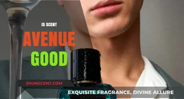 Exploring the Quality of Scent Avenue: A Comprehensive Review