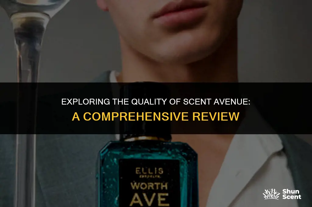 is scent avenue good