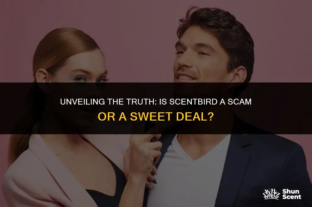 is scent bird a scam