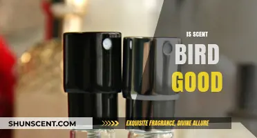 Exploring the Effectiveness of Scentbird: A Comprehensive Review
