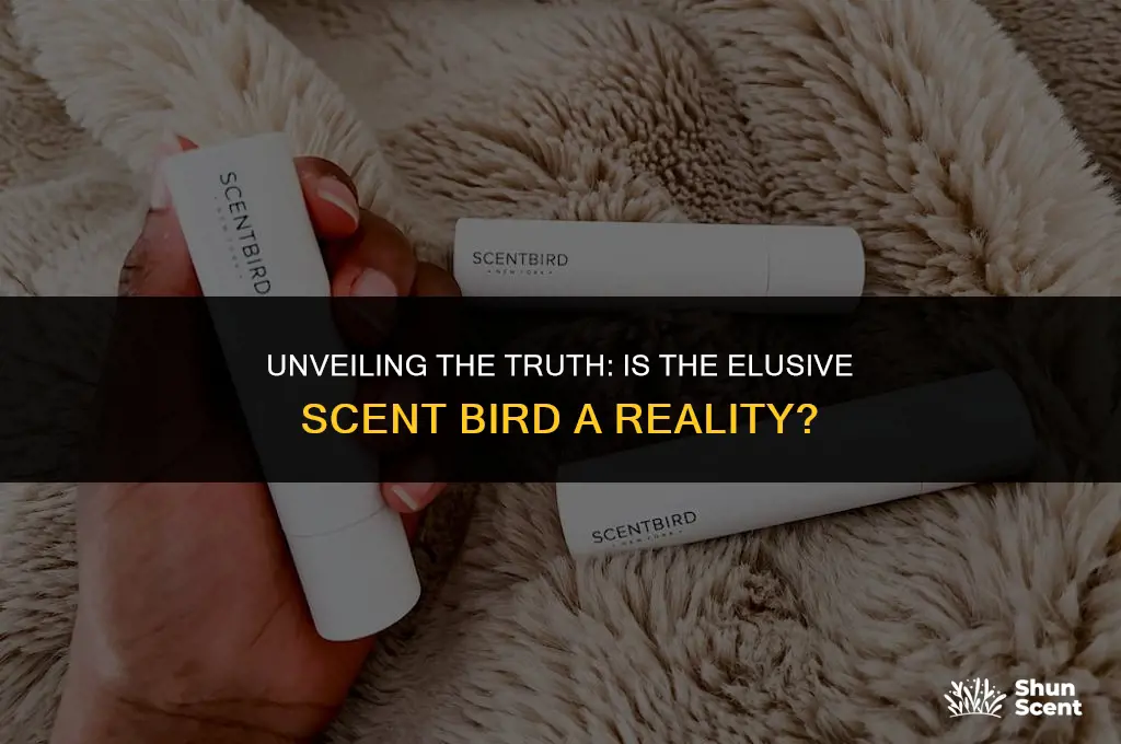 is scent bird real
