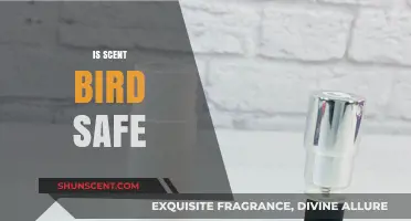 Exploring the Safety of Scented Products for Our Feathered Friends