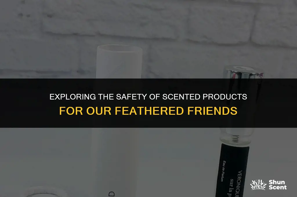 is scent bird safe