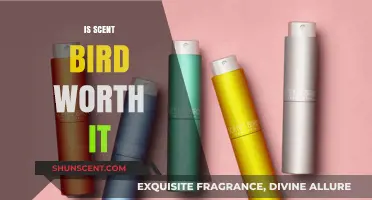 Is Scentbird Worth It? A Honest Review of the Fragrance Subscription