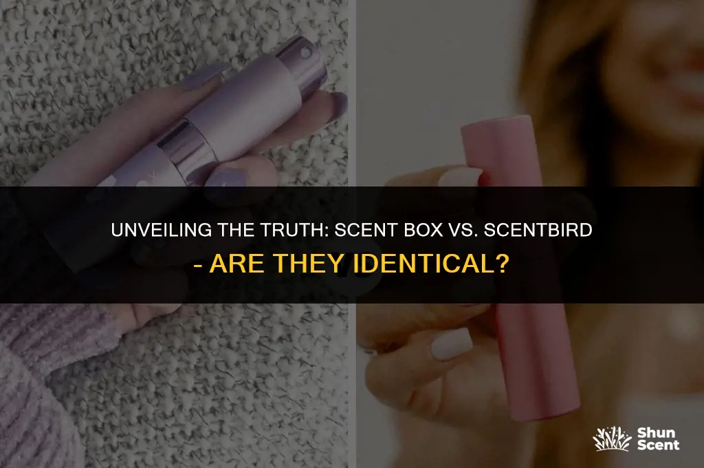is scent box and scentbirdthe same