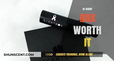 Unveiling the Truth: Is Scent Box Really Worth Your Money?