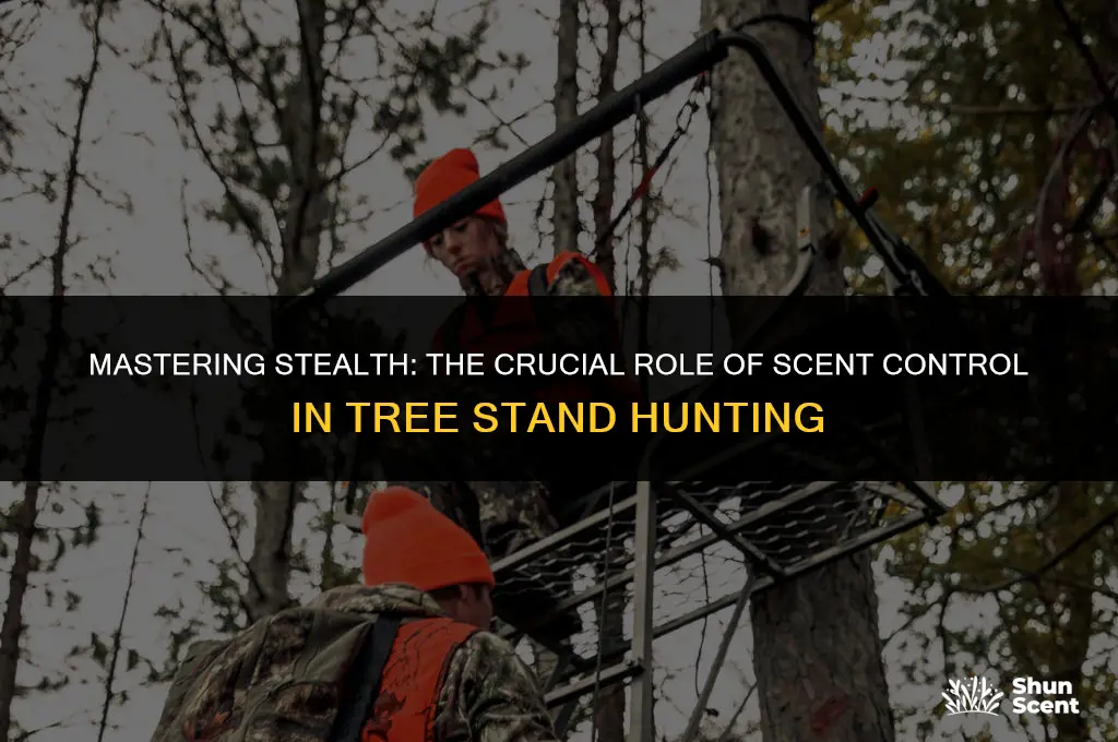 is scent control important for tree stand hunting