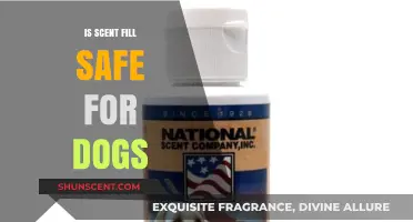 Is Scent Fill Safe for Dogs: A Comprehensive Guide for Pet Owners