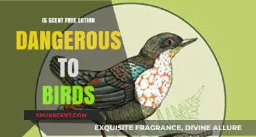 Unveiling the Truth: Is Scent-Free Lotion Safe for Our Feathered Friends?