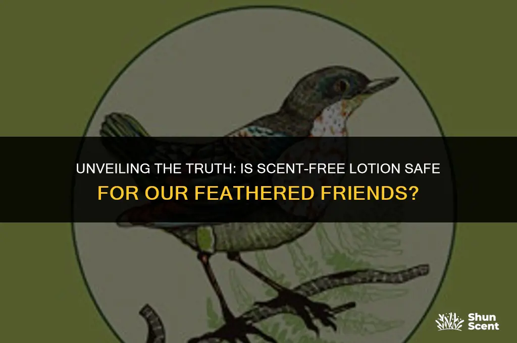 is scent free lotion dangerous to birds