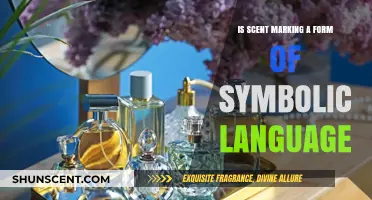 Decoding Scents: The Silent Lexicon of Symbolic Language
