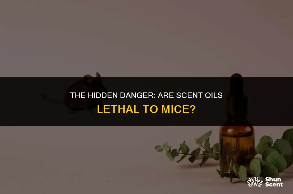 is scent oils deadly to mice