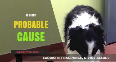 Exploring the Intricacies of Scent as Probable Cause: A Deep Dive