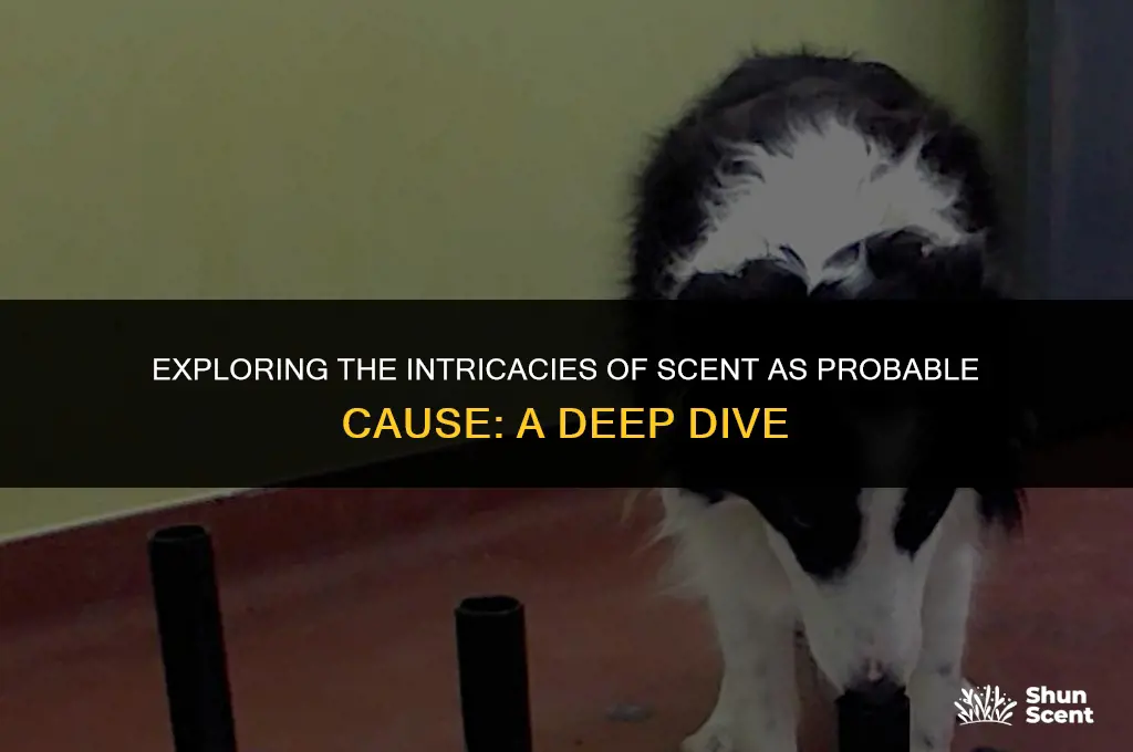 is scent probable cause