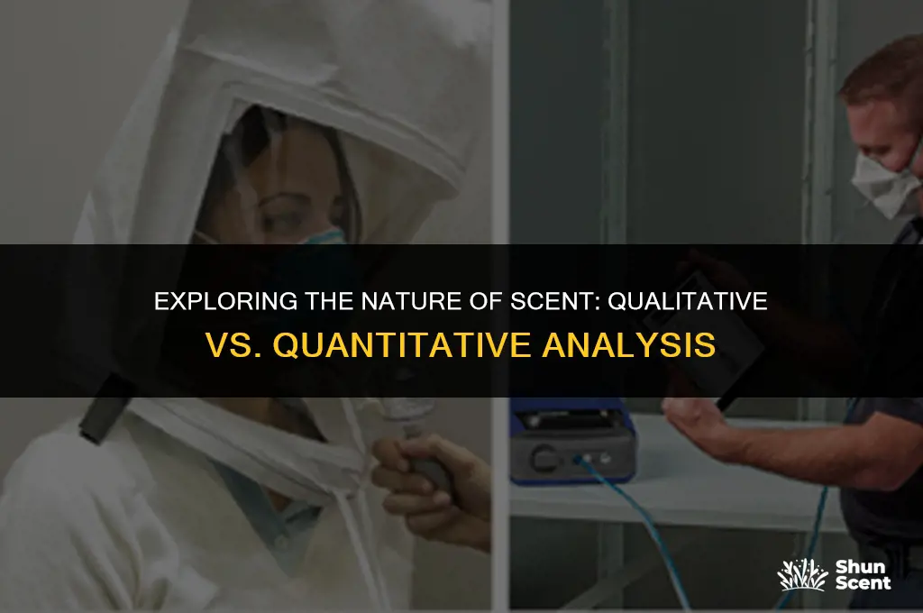 is scent qualitative or quantitative