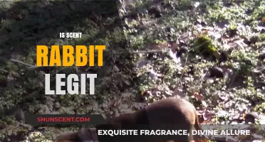 Unveiling the Truth: Is Scent Rabbit a Genuine Deal?