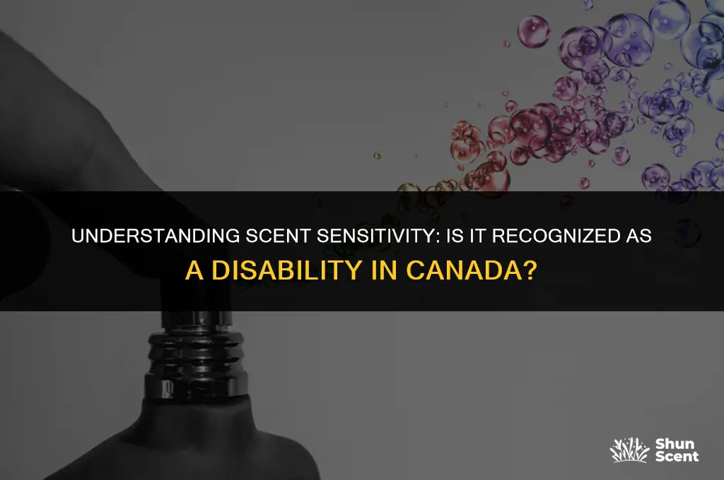 is scent sensitivity a disability in canada