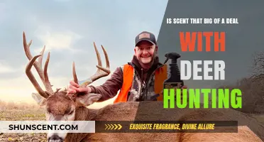 Unlocking the Secrets: Scent's Crucial Role in Deer Hunting Success