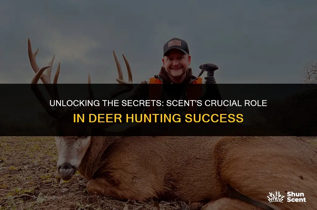 is scent that big of a deal with deer hunting